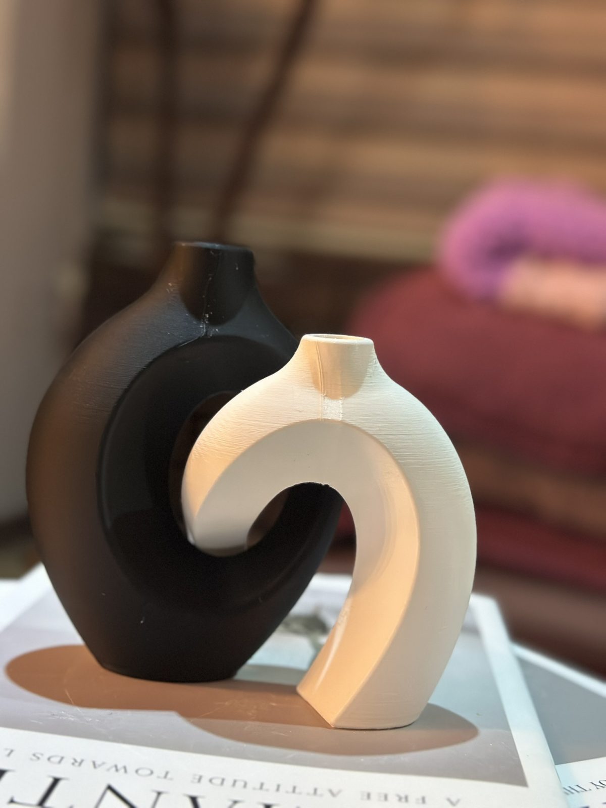 2'li Modern Dekoratif Vazo Seti – 3D Baskı Minimal Halka Tasarım Plastik Vazo